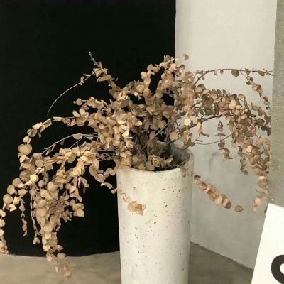 兽设草原场景绘制Furry群